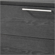 Pemberly Row Modern Veneer Wood and Stainless Steel Chest in Gray