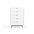 Pemberly Row Valencia Contemporary 5-Drawer Wood Chest in White and Black