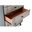 Pemberly Row Veneer Wood 5-Drawer Bedroom Chest in Gray/Black