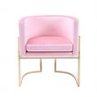 Pemberly Row Betsy Velvet Chair with Stainless Steel Frame in Pink-Gold