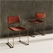 Pemberly Row Set of 2 Salmon Upholstered Dining Chairs with Gold Frame