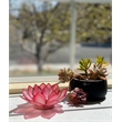 Pemberly Row Handmade Capiz Shell Lotus Tea Light Holder in Pink Finish