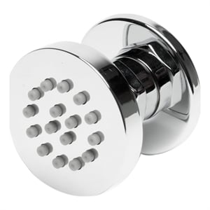 Pemberly Row Adjustable 2&quot Round Brass Shower Spray in Polished Chrome