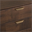 Pemberly Row Acacia Wood and Metal Dresser in Dark Walnut