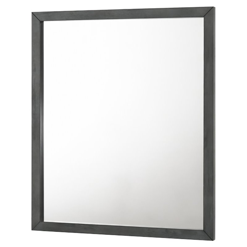 Pemberly Row Bryan Rectangular MDF and Glass Mirror in Wash Gray Clear