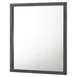 Pemberly Row Bryan Rectangular MDF and Glass Mirror in Wash Gray Clear
