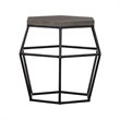 Pemberly Row Hexagonal Concrete & Metal End Table in Gray/Black