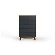 Pemberly Row Veneer and Rubberwood Bedroom Chest in Walnut and Charcoal