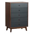 Pemberly Row Veneer and Rubberwood Bedroom Chest in Walnut and Charcoal