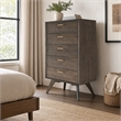 Pemberly Row 5-Drawer Dark Oak & Brass Modern Wood Chest
