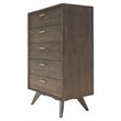 Pemberly Row 5-Drawer Dark Oak & Brass Modern Wood Chest
