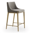 Pemberly Row Contemporary Grey Counter Stool with Antique Brass Legs