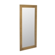 Pemberly Row Brushed Brass Floor Mirror with Wood Frame