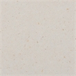 Pemberly Row Modern Terrazzo Concrete Dining Stool in White