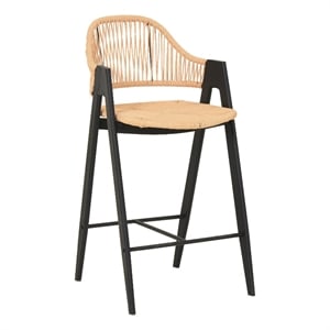 Pemberly Row Modern Rattan Counter Stool Set of 2 in Black Finish