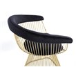 Pemberly Row Velvet and Gold Stainless Steel Dining Chair in Black