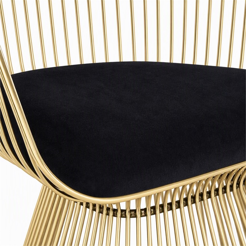 Pemberly Row Velvet and Gold Stainless Steel Dining Chair in Black