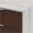 Pemberly Row Veneer Wood and Stainless Steel Chest with Faux Concrete in Gray