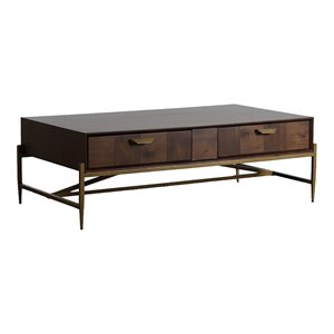Pemberly Row Shane Acacia Wood Coffee Table with Antique Brass Accents