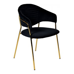 Pemberly Row Set of 2 Black Velvet Steel Dining Chairs with Gold Finish