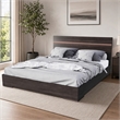 Pemberly Row Modern Eastern King Bed in Walnut with Stainless Steel Accents