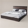 Pemberly Row Modern Eastern King Bed in Walnut with Stainless Steel Accents