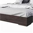 Pemberly Row Modern Eastern King Bed in Walnut with Stainless Steel Accents