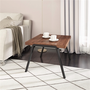 Pemberly Row Minimalist Mid-Century Wood End Table in Walnut & Black