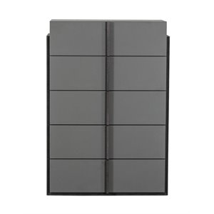 Pemberly Row 5-Drawer Modern MDF Wood Chest in Elm & Matte Gray