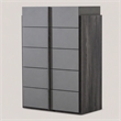 Pemberly Row 5-Drawer Modern MDF Wood Chest in Elm & Matte Gray