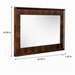 Pemberly Row Rectangular Wood and Glass Mirror in Dark Mango Finish