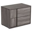 Pemberly Row 2-Drawer MDF Wood Nightstand in Matte Elm Gray