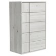 Pemberly Row Modern 5-Drawer Oak Wood Chest in White Washed Finish