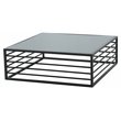 Pemberly Row Square Modern Wrought Iron & Glass Coffee Table in Black/Clear