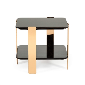 Pemberly Row Square Modern Stainless Steel End Table in Ebony/Rose Gold