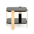 Pemberly Row Square Modern Stainless Steel End Table in Ebony/Rose Gold