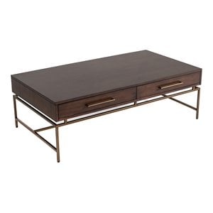 Pemberly Row Acacia Wood & Metal Coffee Table in Dark Brown/Antique Brass