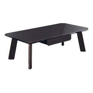 Pemberly Row Wood & Stainless Steel Coffee Table in Ebony Black/Rosegold
