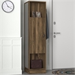 Pemberly Row Roll Hall Stand with Multipurpose Racks in Walnut Finish