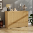 Pemberly Row Full-Size Murphy Cabinet Bed with Charging Station
