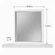 Pemberly Row Mahogany Wood Dresser Mirror in White with Beveled Glass
