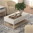 Pemberly Row Coffee Table with Woven Shelf in Coconut Milk Rubberwood