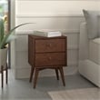 Pemberly Row Mid Century Walnut 2 Drawer Nightstand with Felt-Lined Storage
