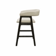 Pemberly Row Wood Counter Height Chairs Set of 2 in Vintage Black
