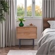 Pemberly Row Mahogany Wood 2 Drawer Nightstand with Metal Legs in Chestnut