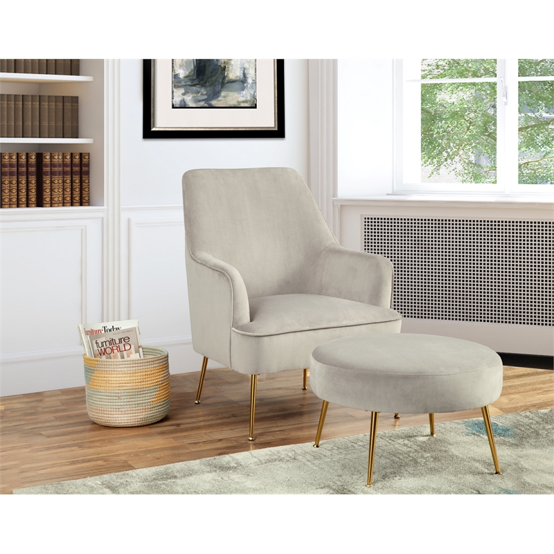 Pemberly Row Velour Upholstered Leisure Accent Chair in Gray