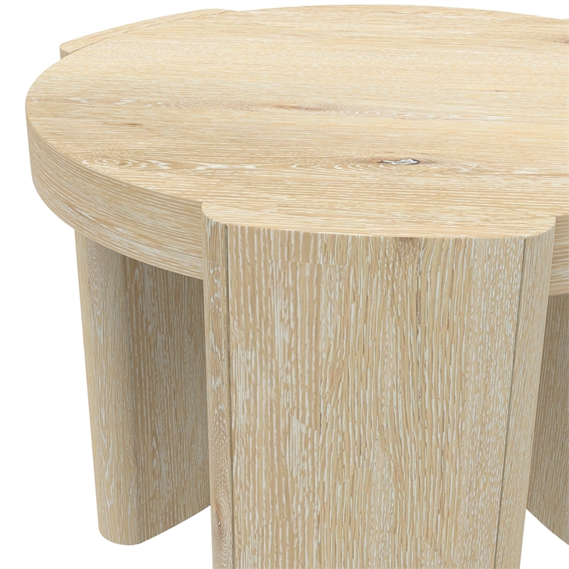 Pemberly Row 20 in. W Round Wood End Table in Natural Driftwood