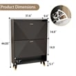 Pemberly Row Modern Flip Down Shoe Cabinet with 2 Drawers in Black