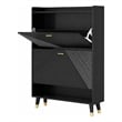 Pemberly Row Modern Flip Down Shoe Cabinet with 2 Drawers in Black
