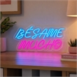Pemberly Row Blue Besame Mucho LED Neon Sign on Acrylic Wall Decor